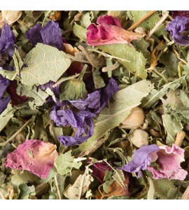 Tisane des Merveilles-Dammann